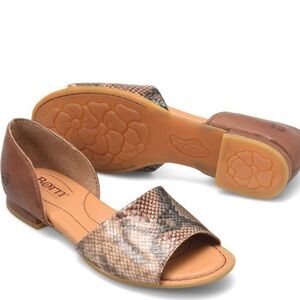 Born Shoes Brown Snake Combo